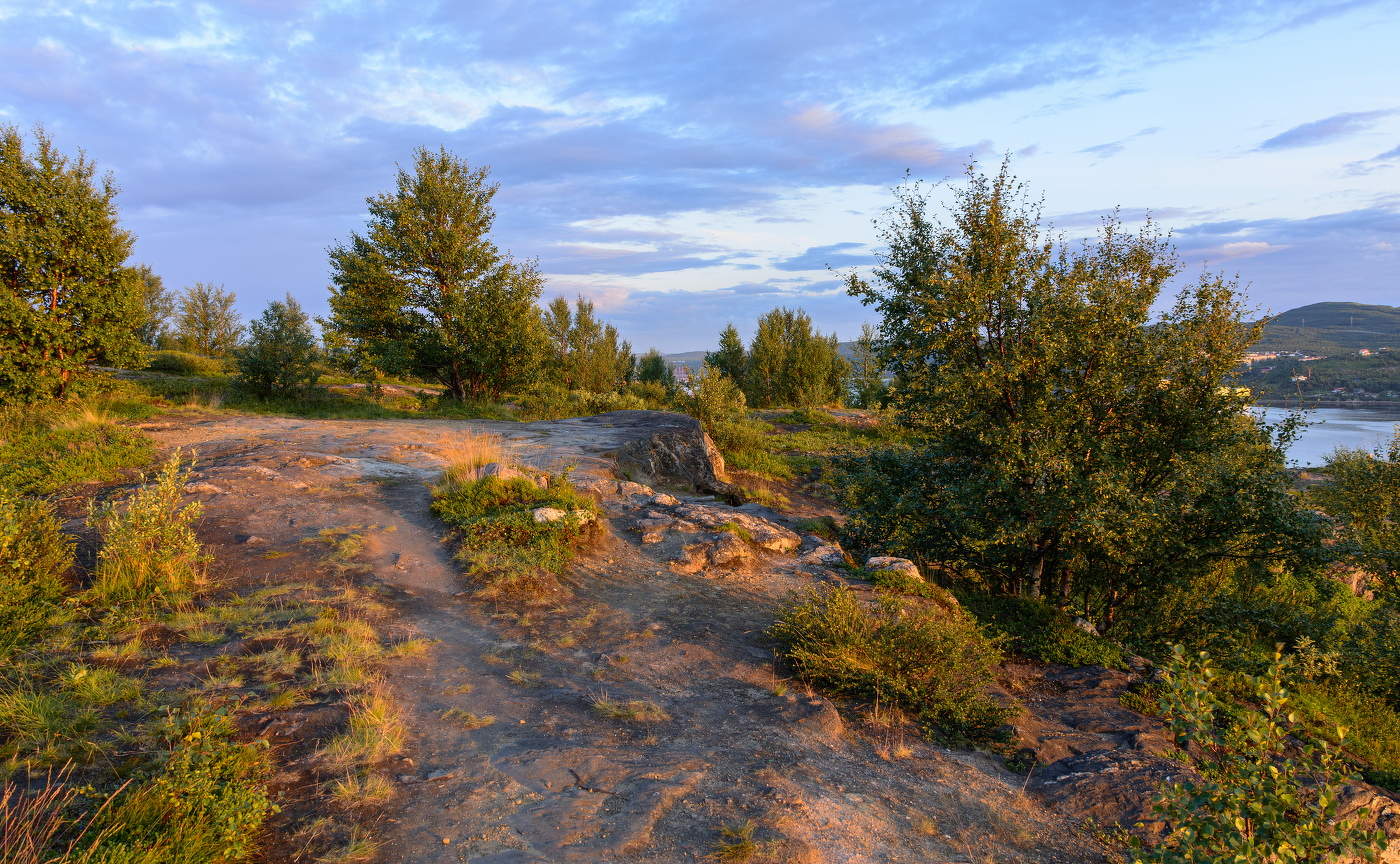 июльский вечер