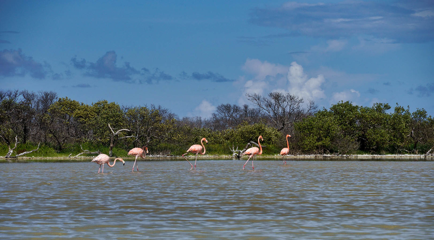 В заповеднике Рио Лаградос