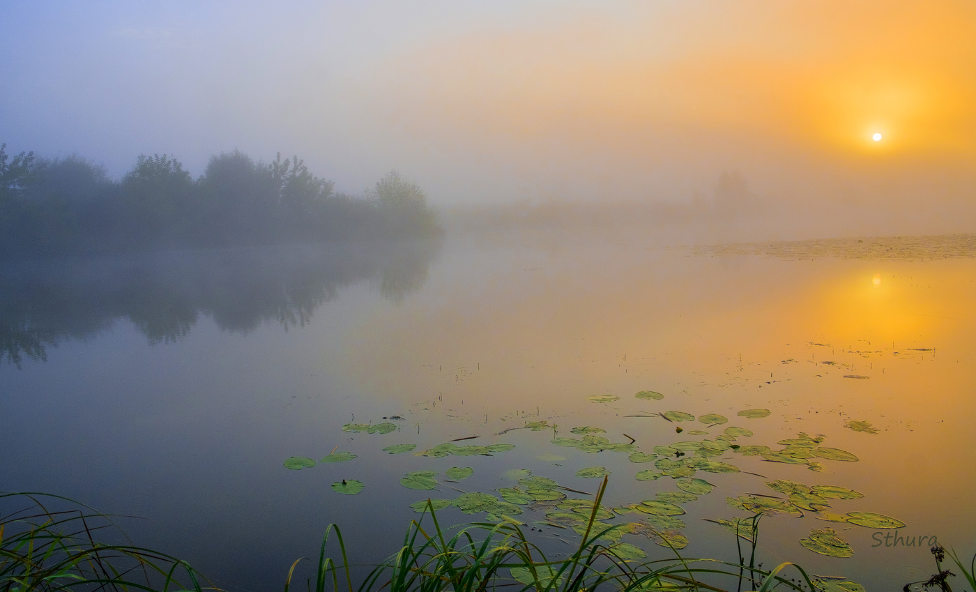 Лето. Рассвет.