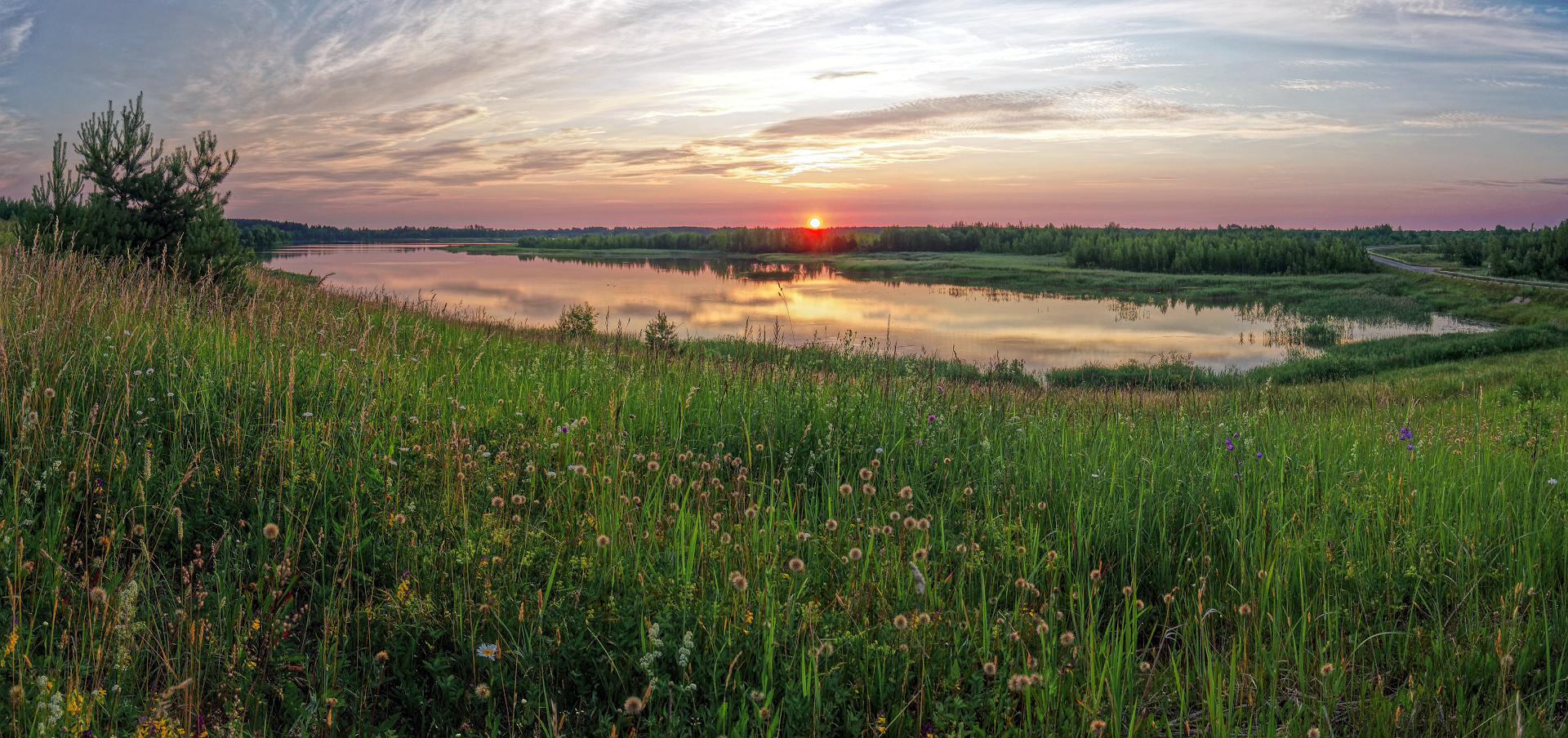 Разнотравье