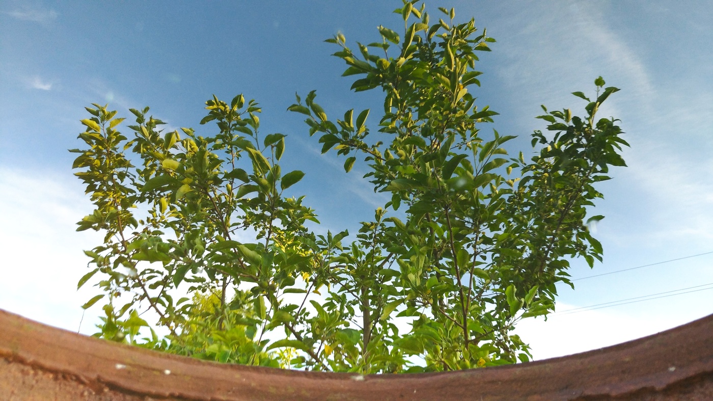 Жизнь вокруг