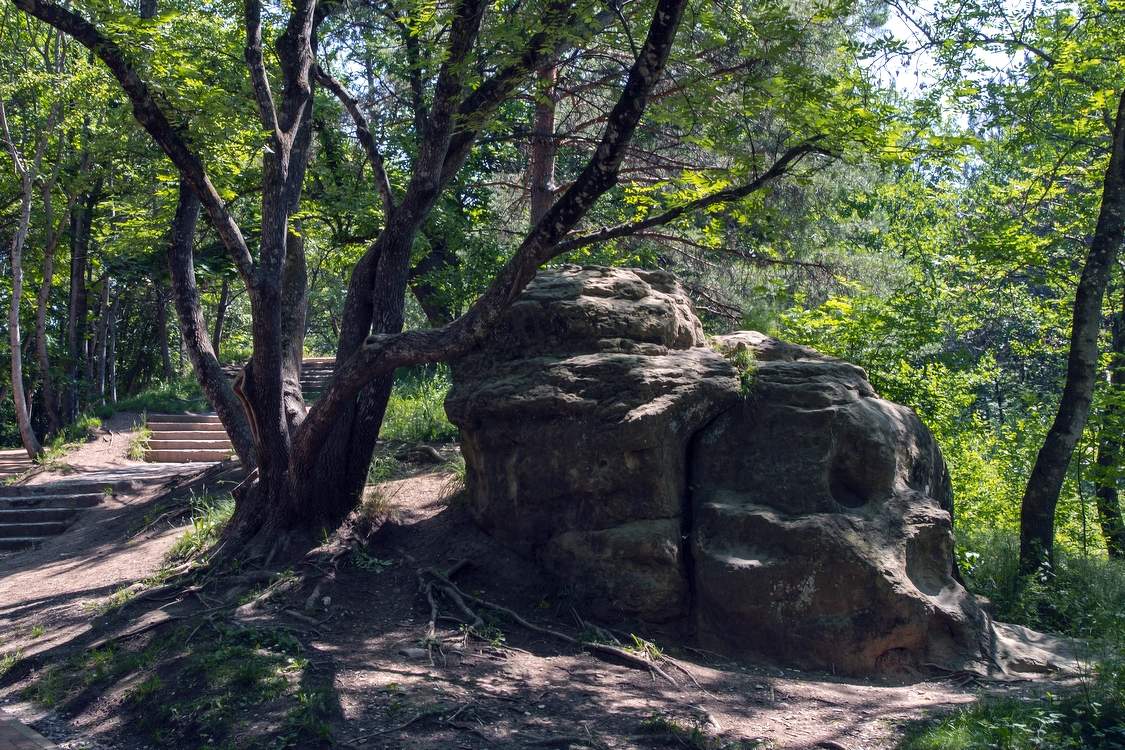 В ожидании друга...