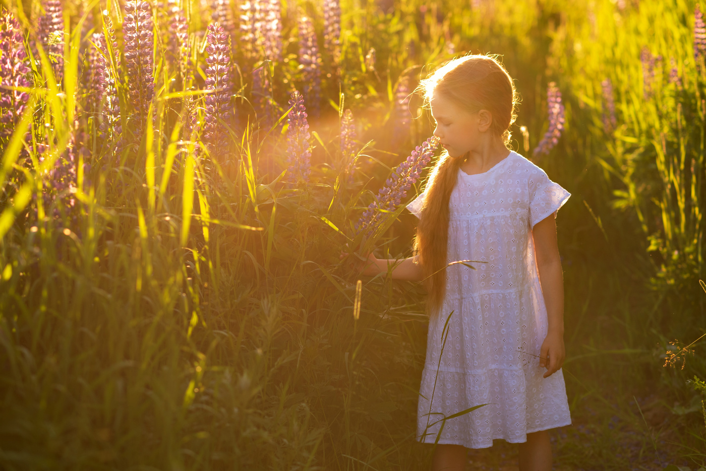 Солнечный залив