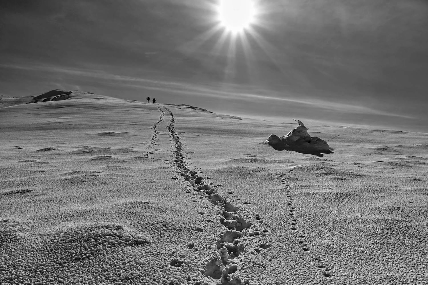 В снежной пустыне