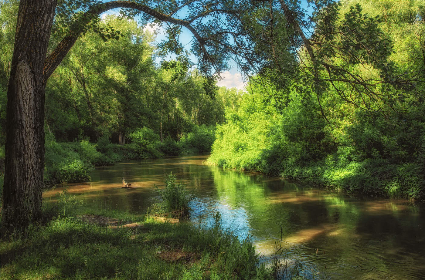 Июнь на Усеньке