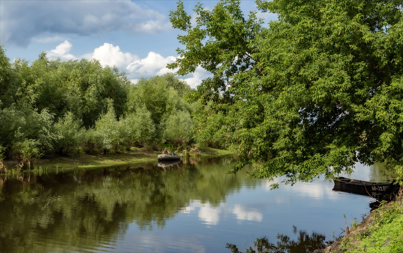 Где гнутся над омутом лозы...