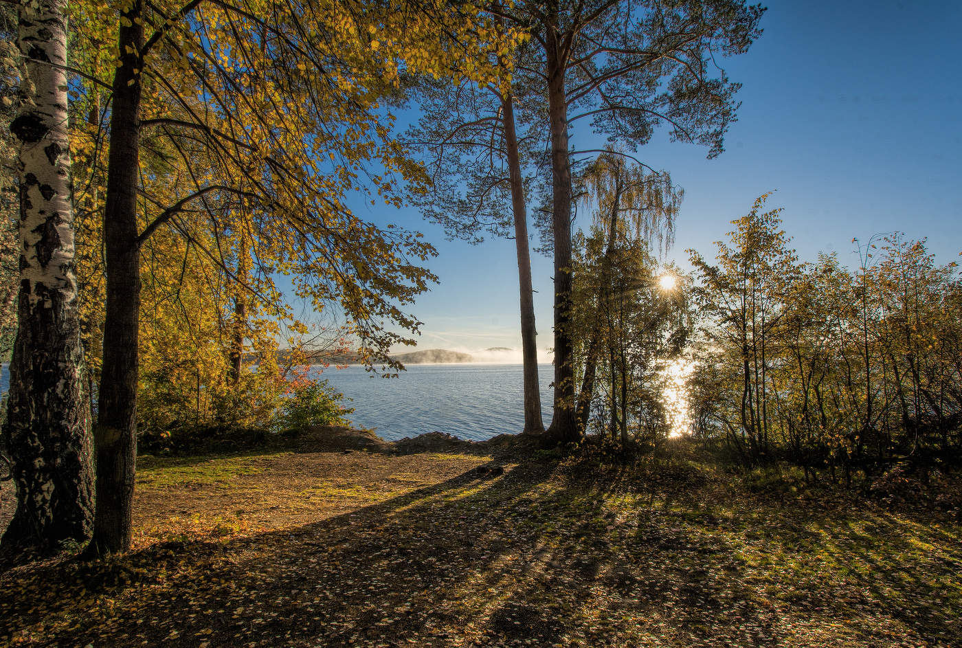 Утро на озере