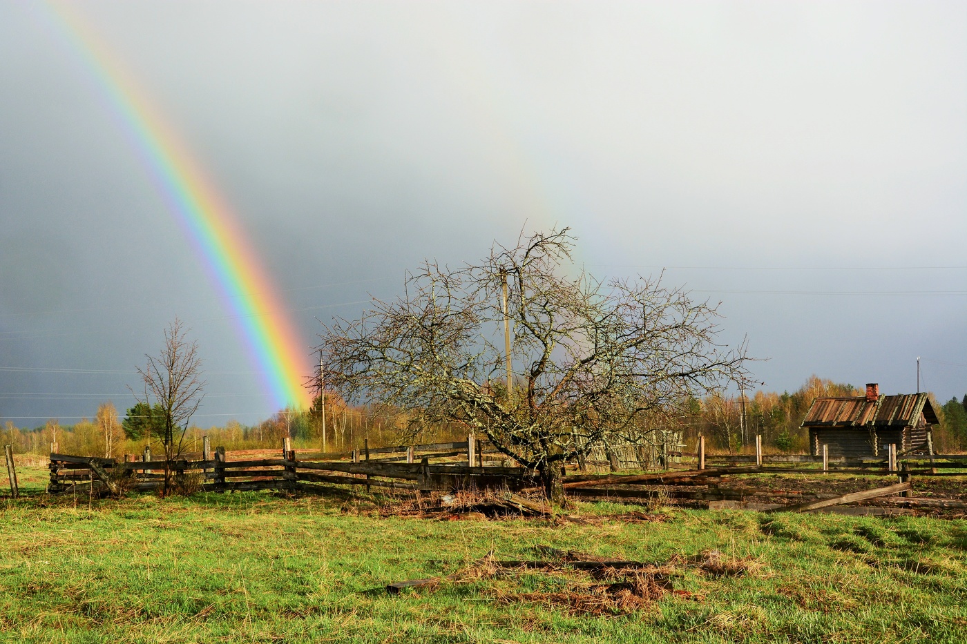 Май в деревне ...