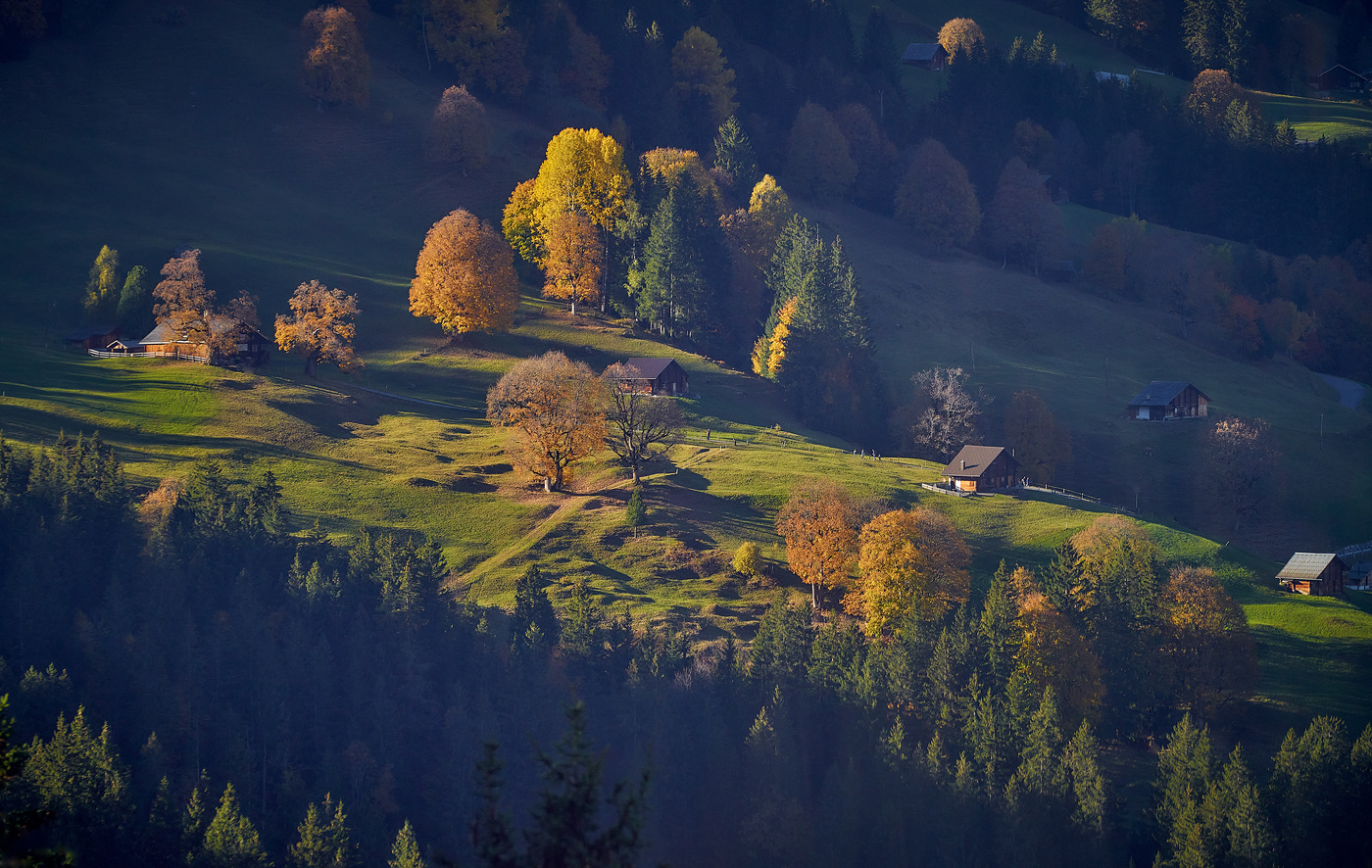 В гостях у Осени