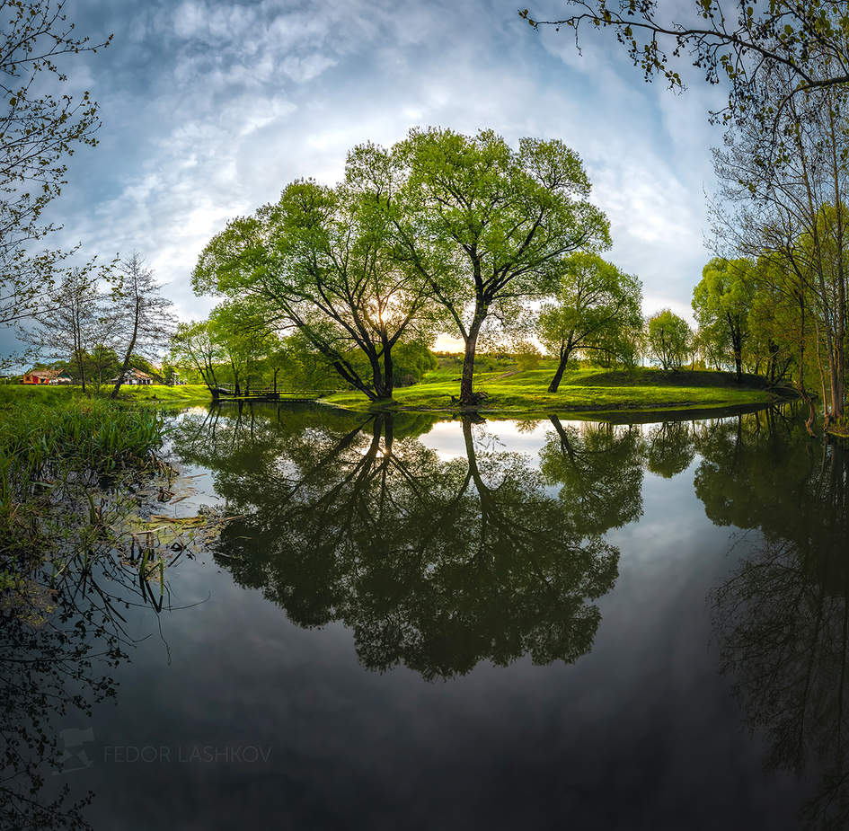 Утренняя тишина