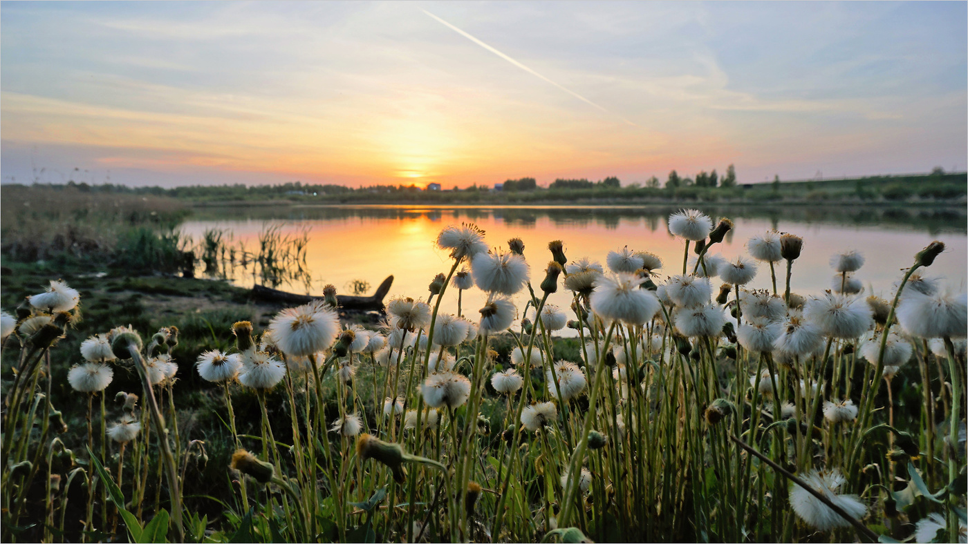 Встречая рассвет