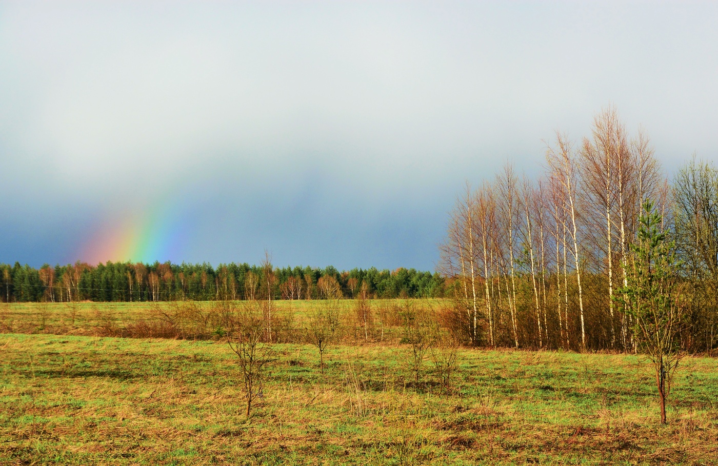 Май... Прошелестел дождь и скрылся за лесом ...