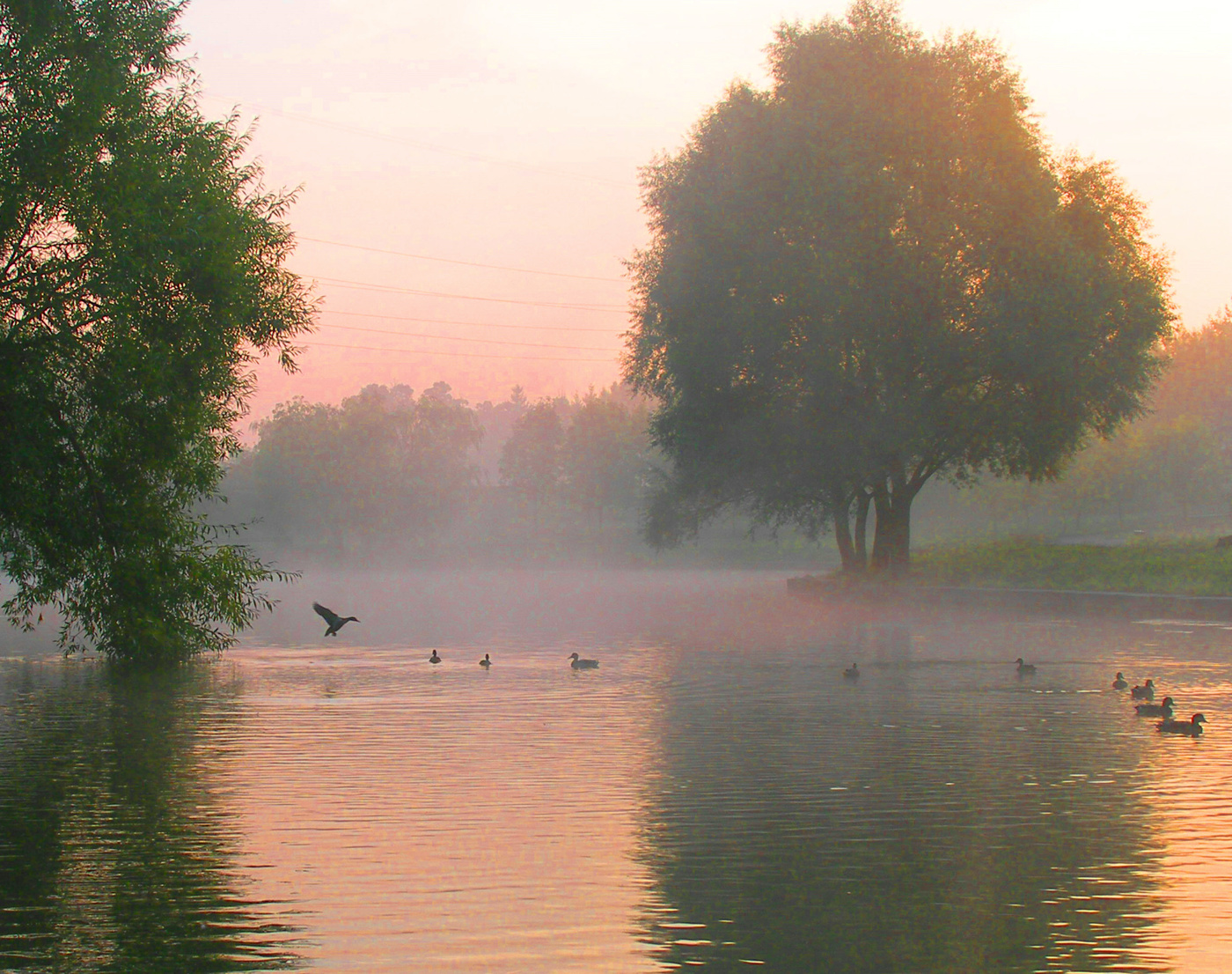Теплое утро...