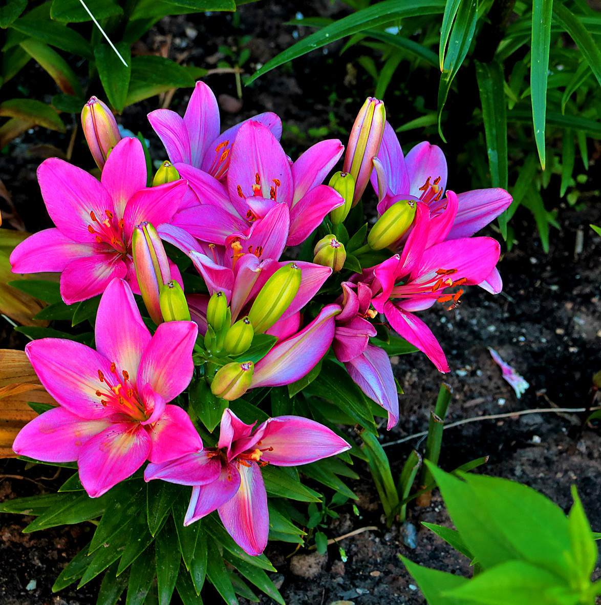 Букет на корню