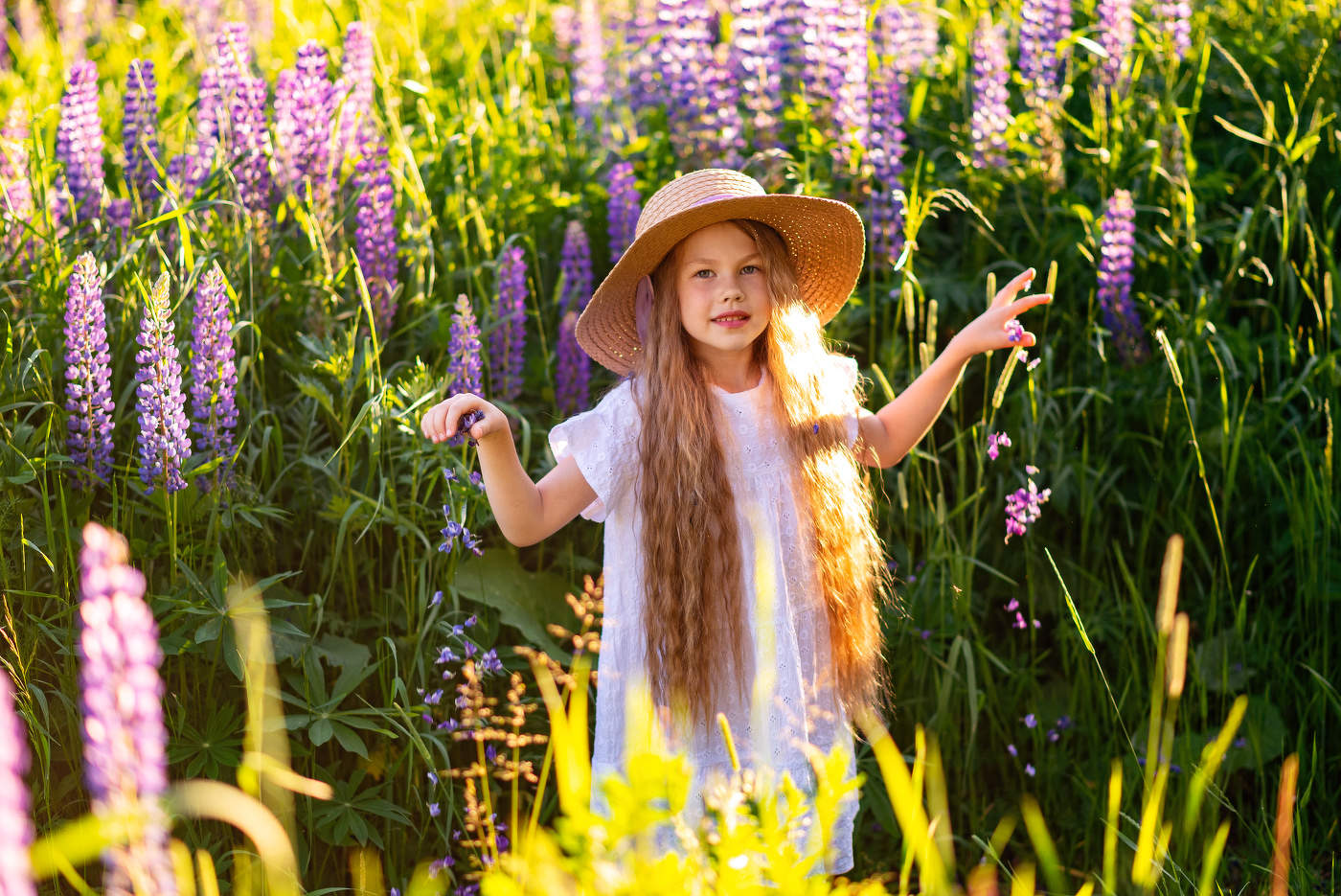 Люпиновый дождь