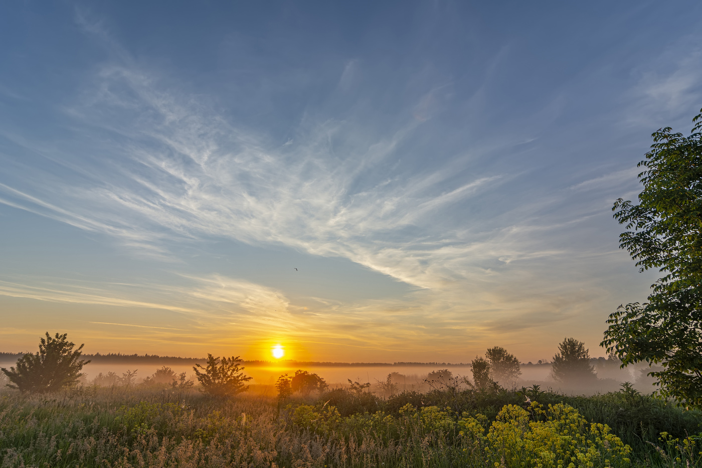 За околицей туман тихо стелется