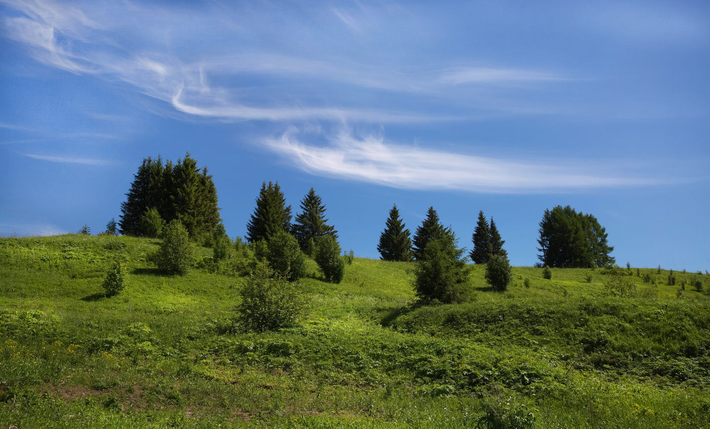 Летний пейзаж