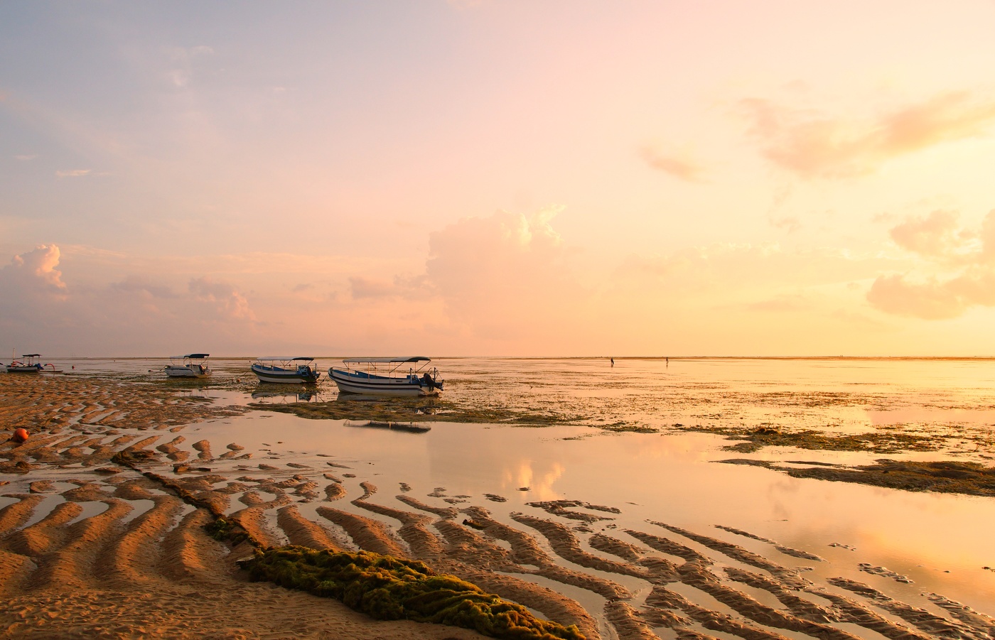 Нежное утро