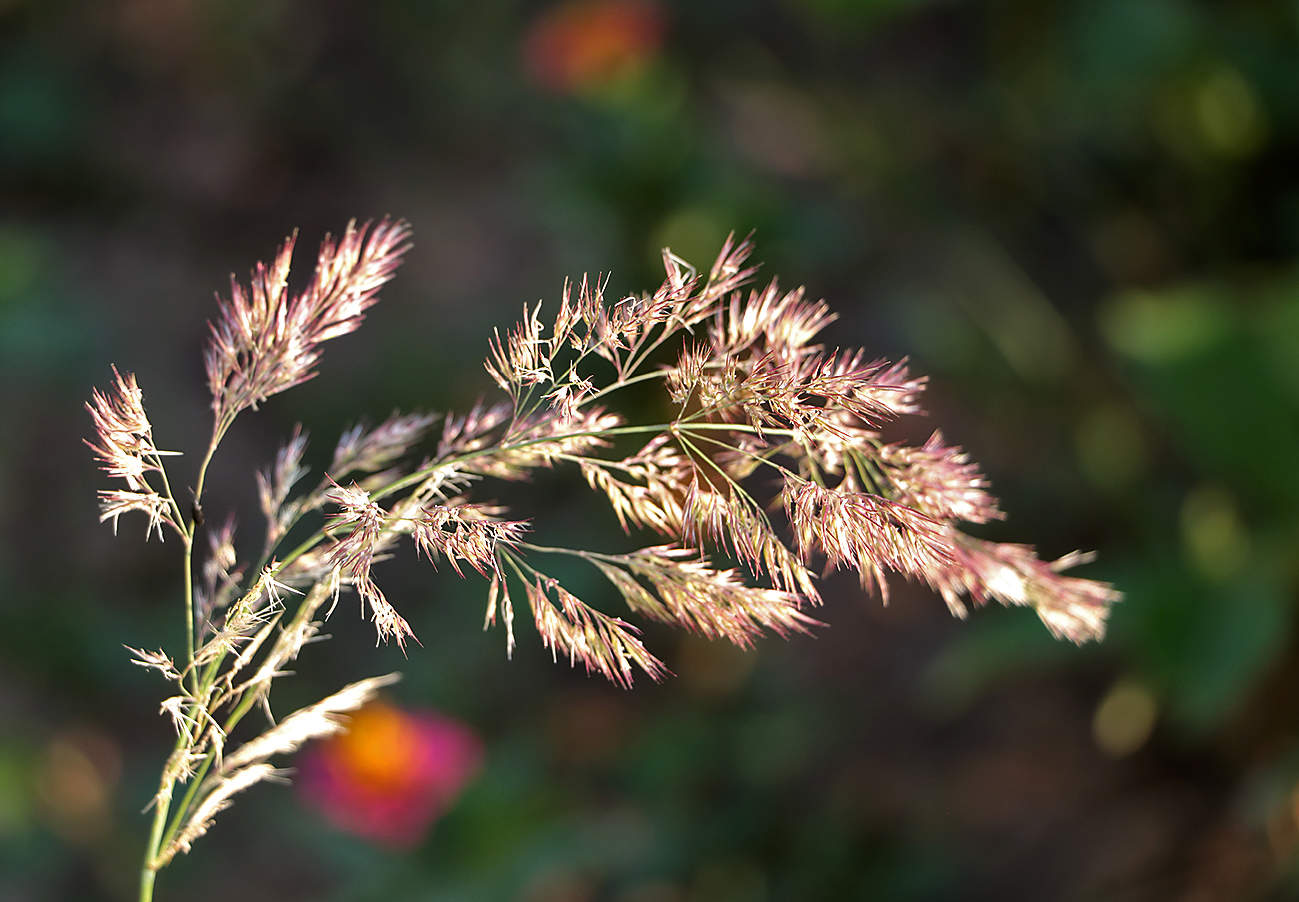 Жаркий июль