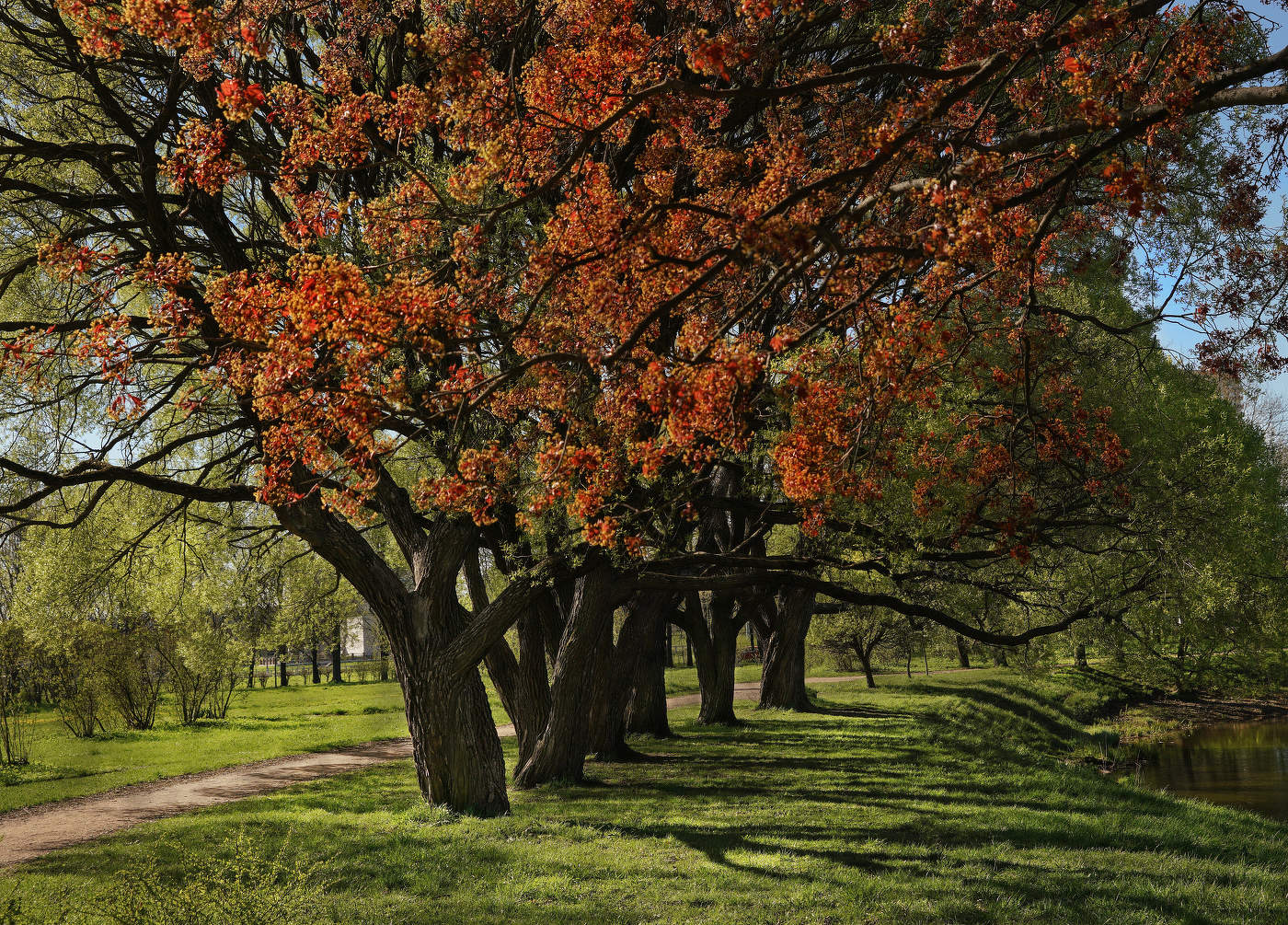 Краски весны