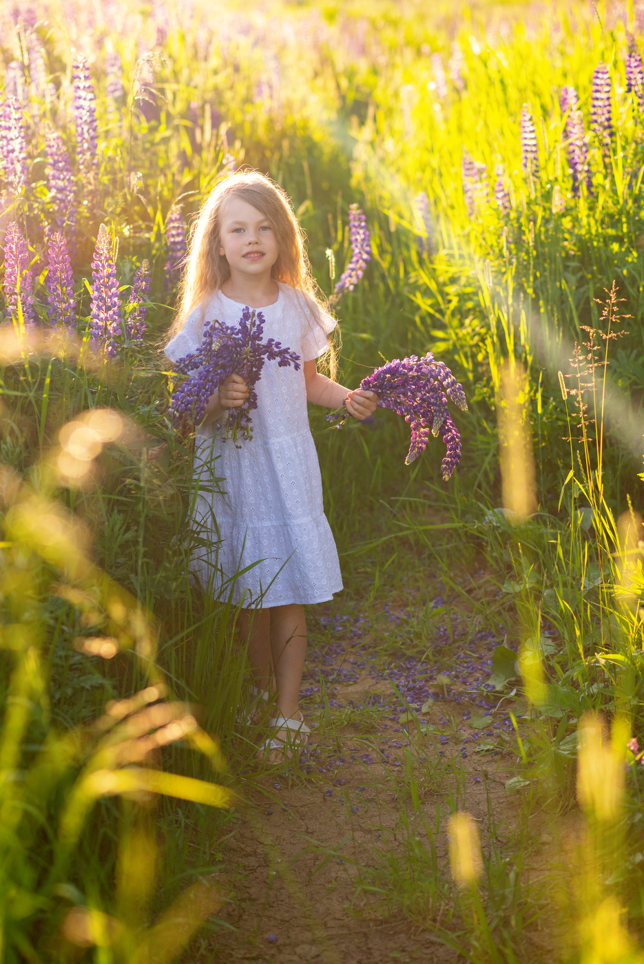 Солнечная тропа