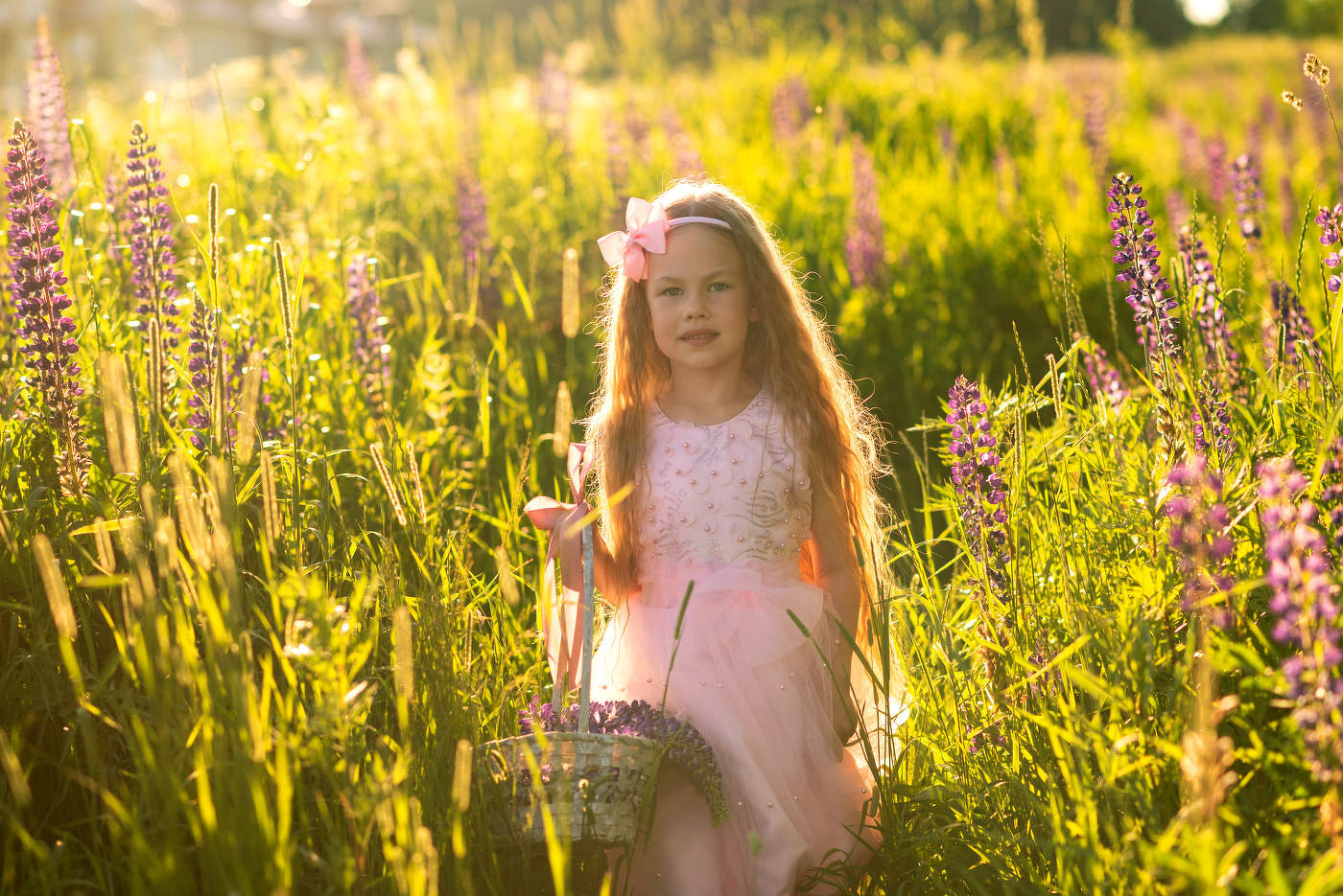 Полина пробирается сквозь люпины