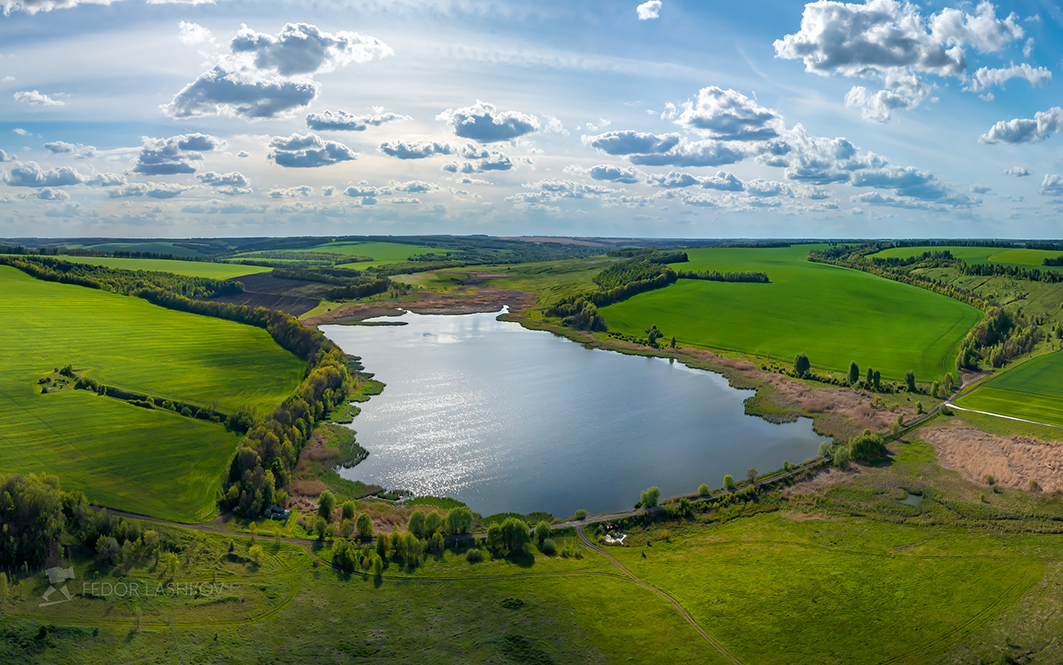 Весенняя зелень