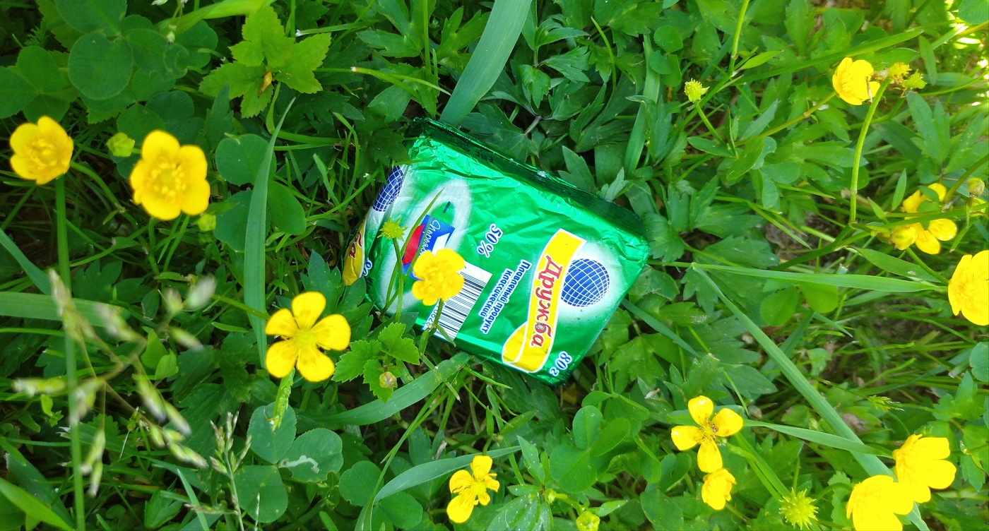 Жизнь вокруг