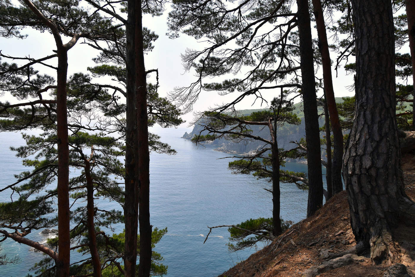 Полуостров Гамова — жемчужина Приморья