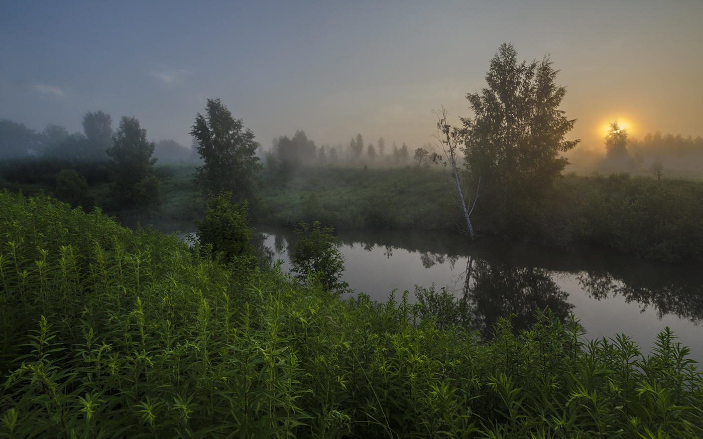Зелёная магия лета