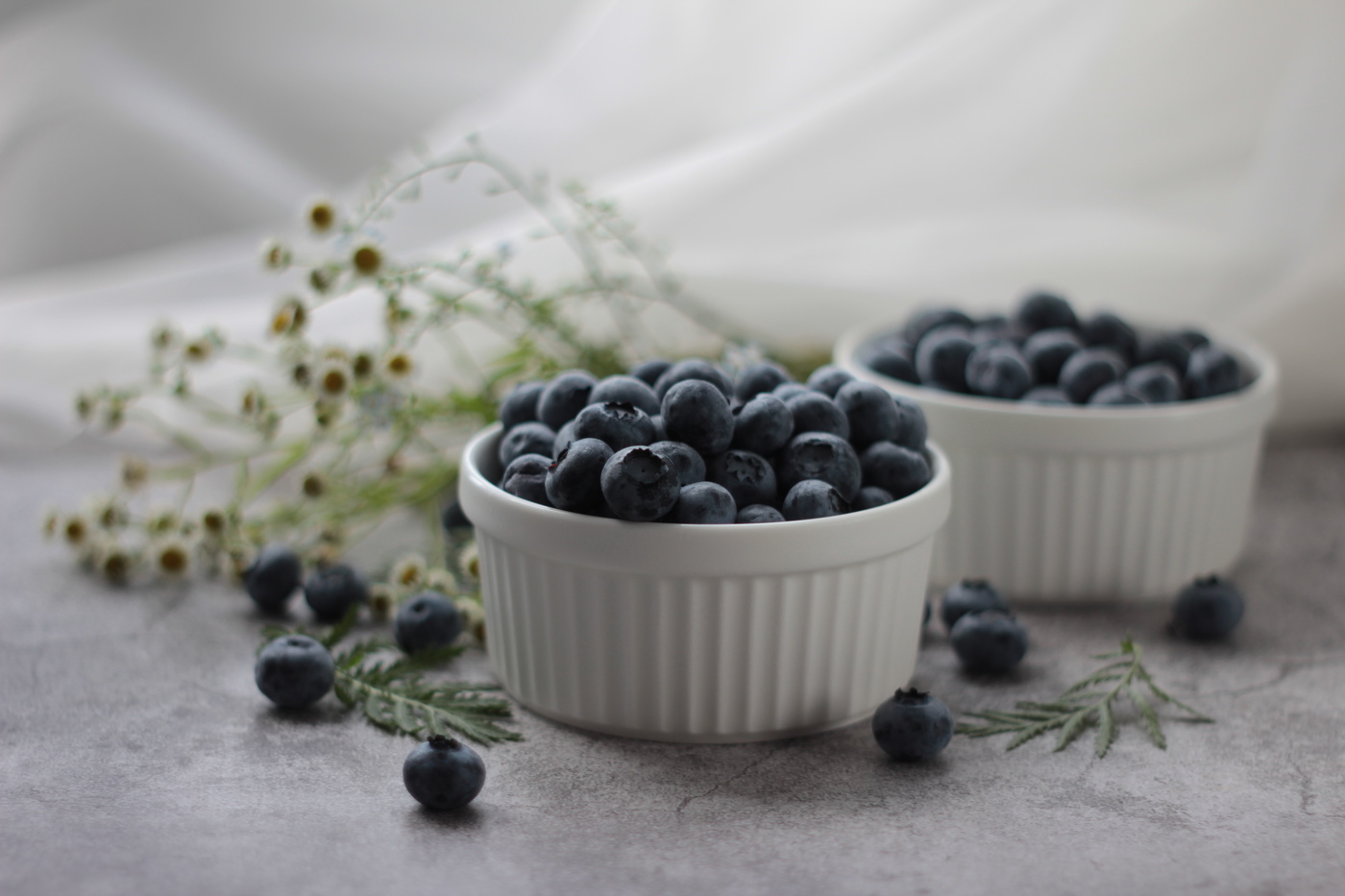 Г о л у б и к а