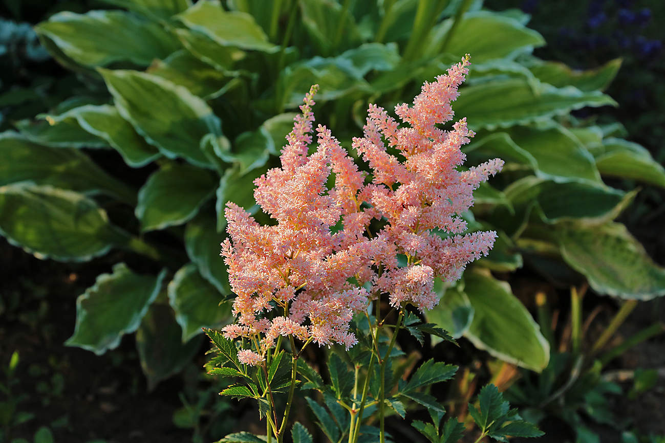 Жаркий июль