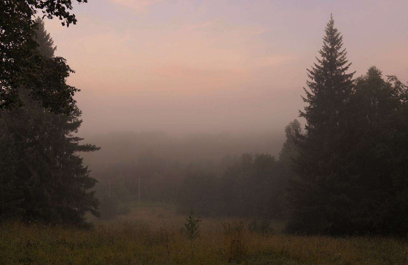 "Блаженна сонь заутренних минут ..."