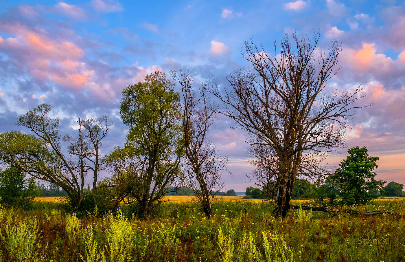 Утренний пейзаж.