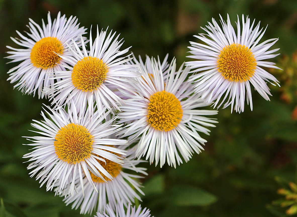 С Днём фотографа!