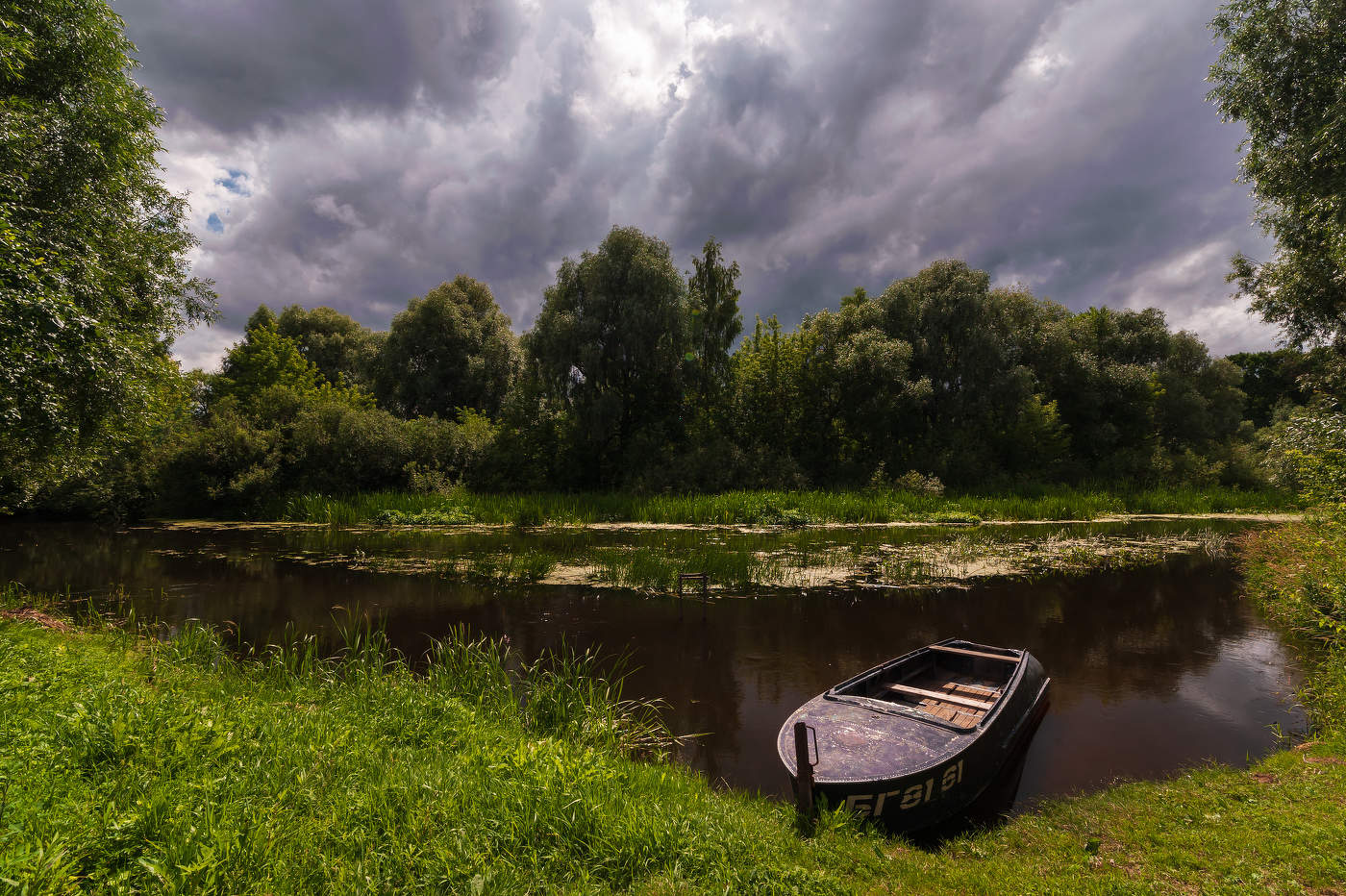 перед дождем...