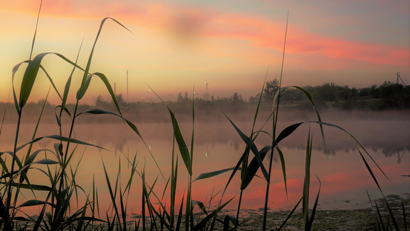 Такое выдалось утро