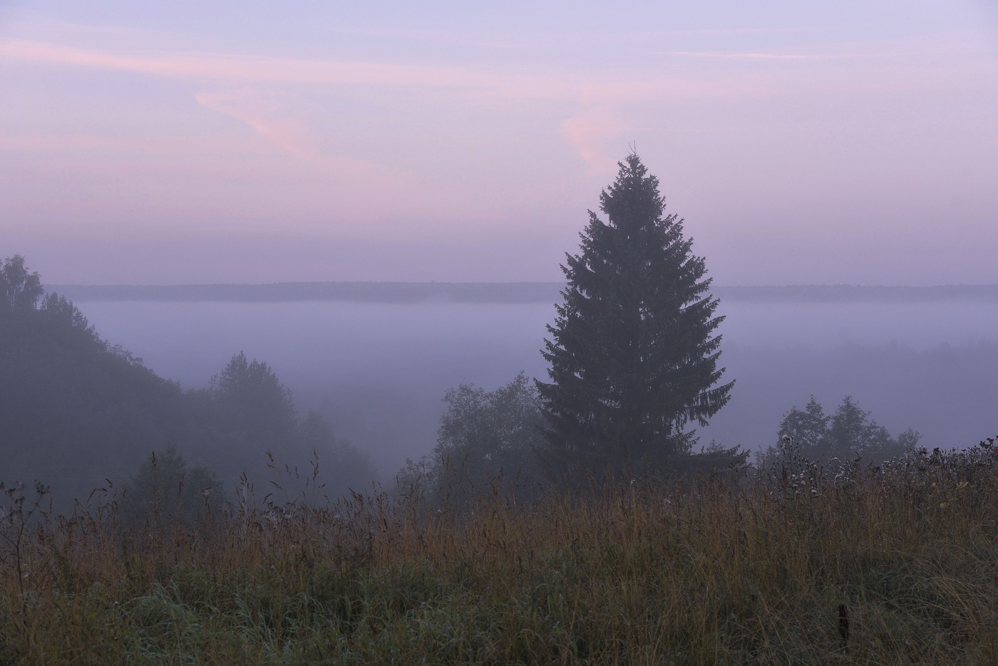 На рассвете ...