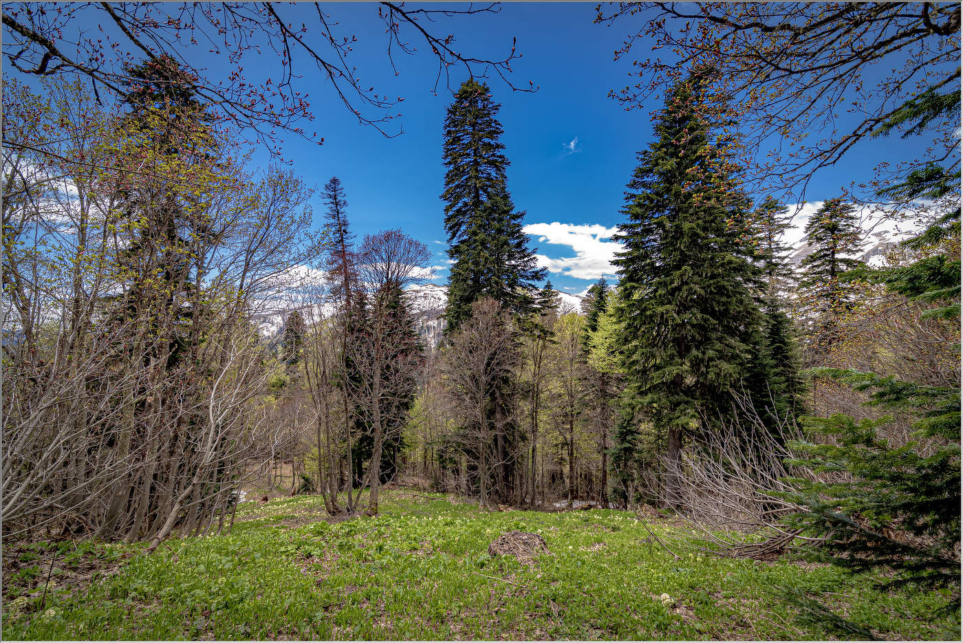 Весна в горах