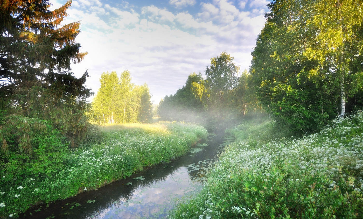 Утро лосле дождя.