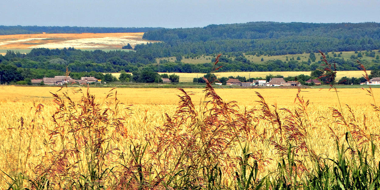 Широка страна моя родная