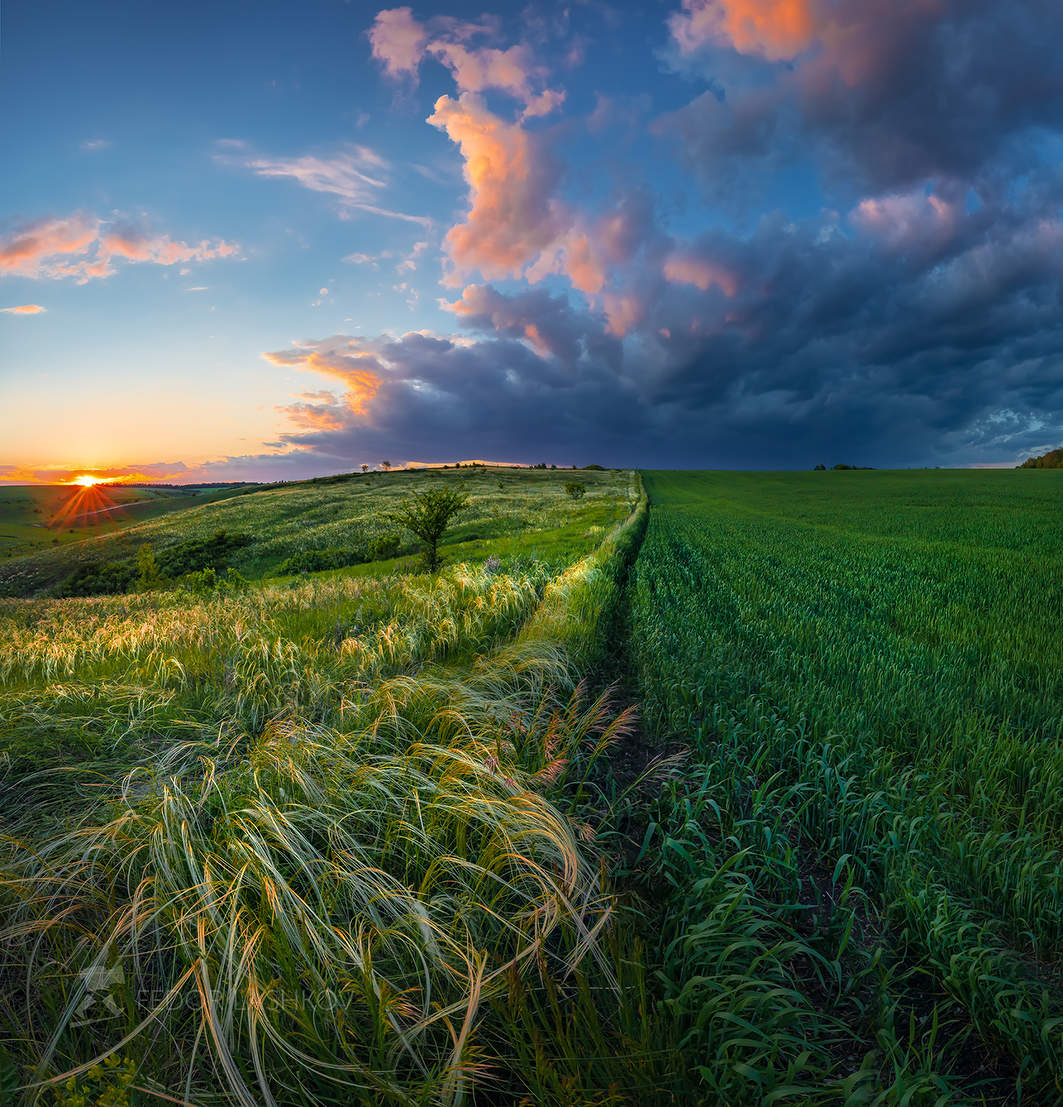 Граница поля и степи