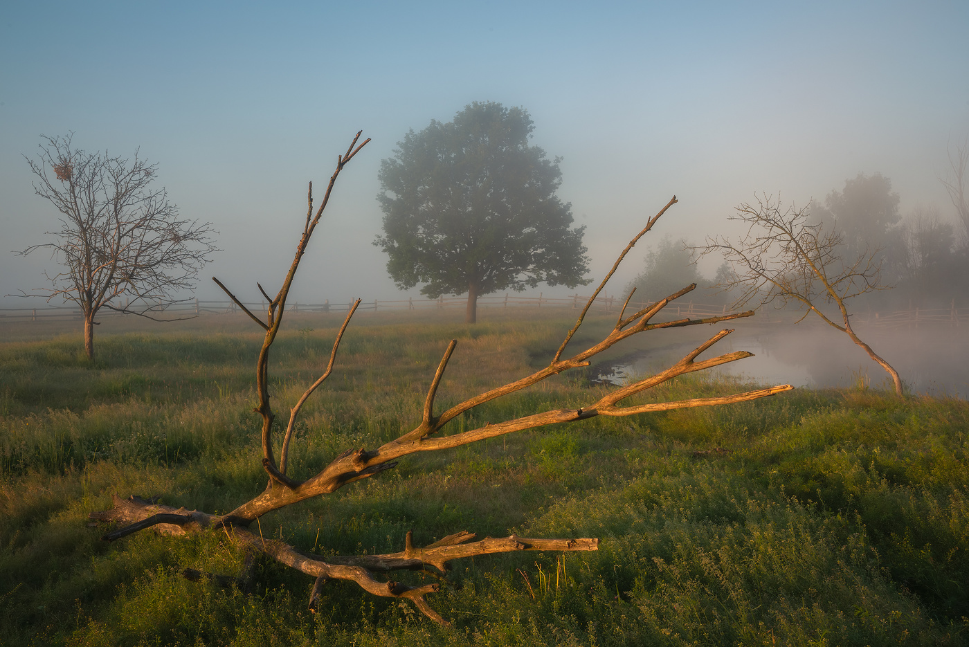 Ранним утром