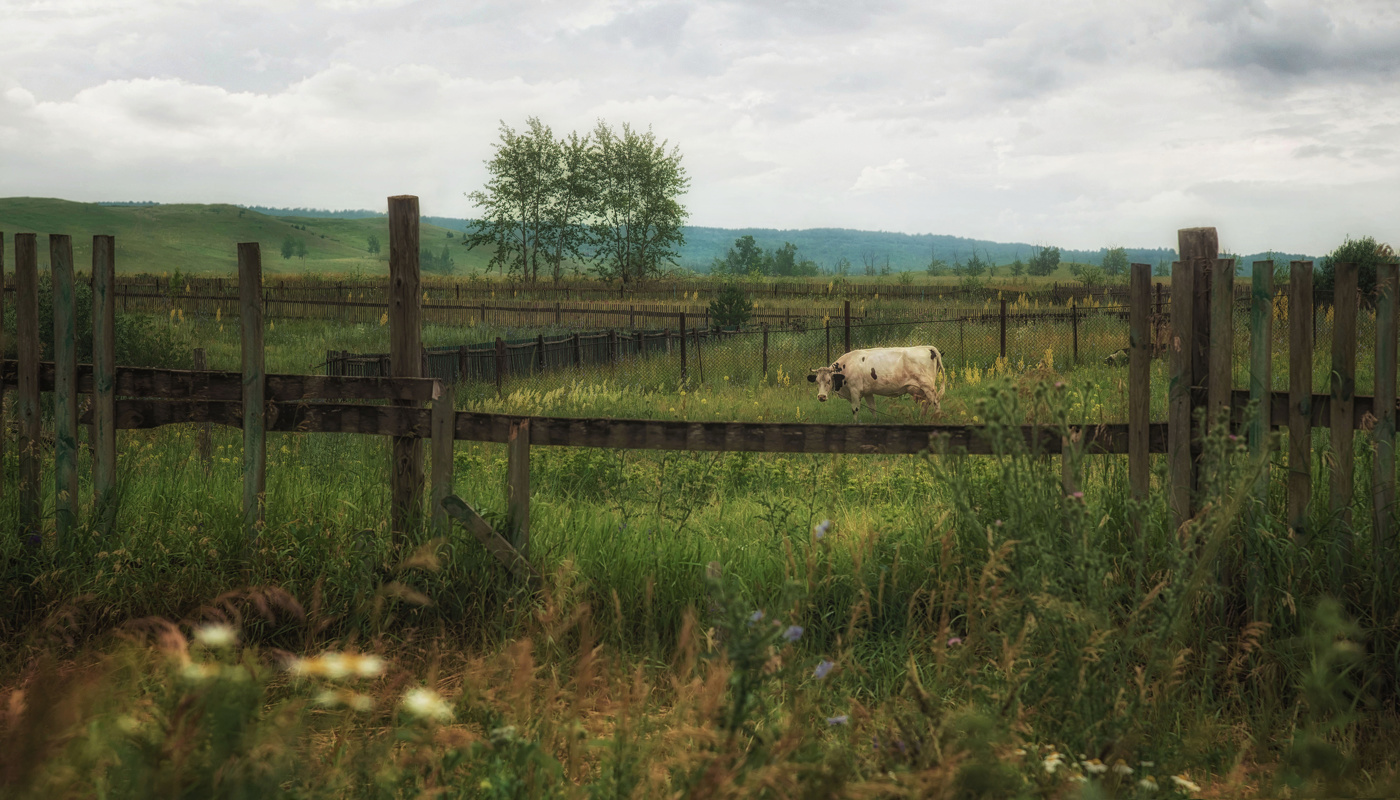 На окраине села Япрыково
