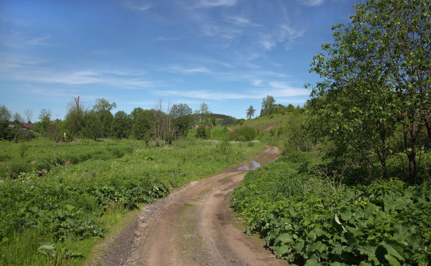 Летний пейзаж