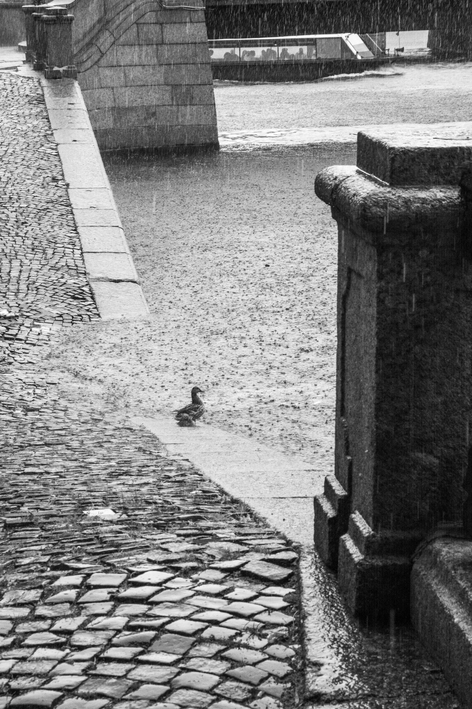 Жизнь вокруг