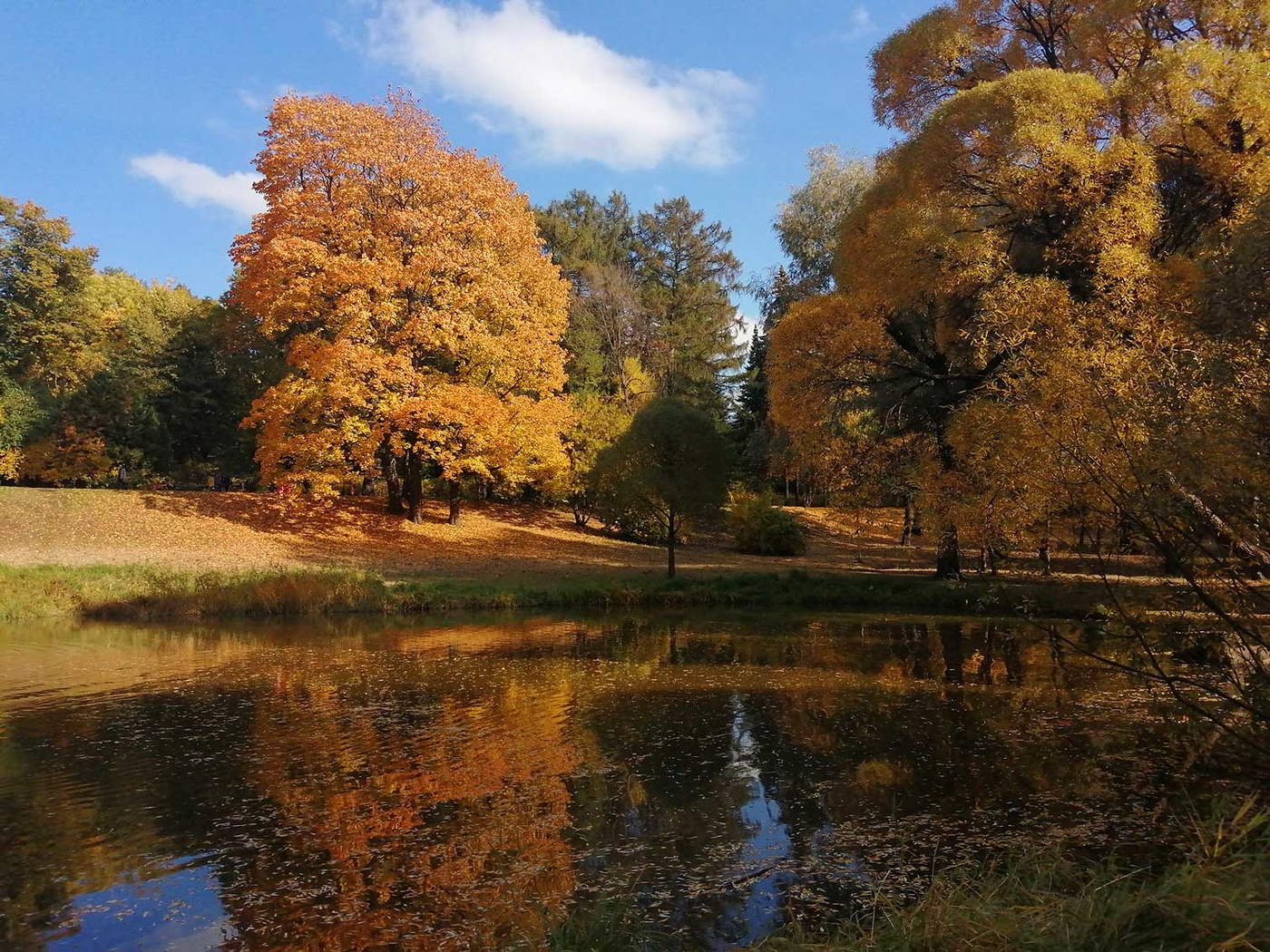 Иорданский пруд