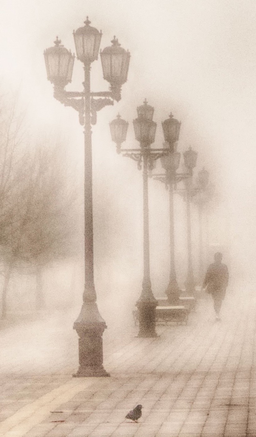 Мой голубь сизокрылый ..