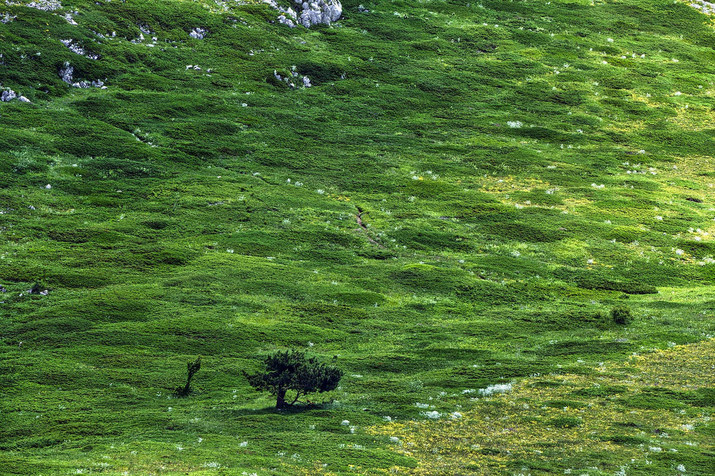 На верхнем плато Чатыр-Дага