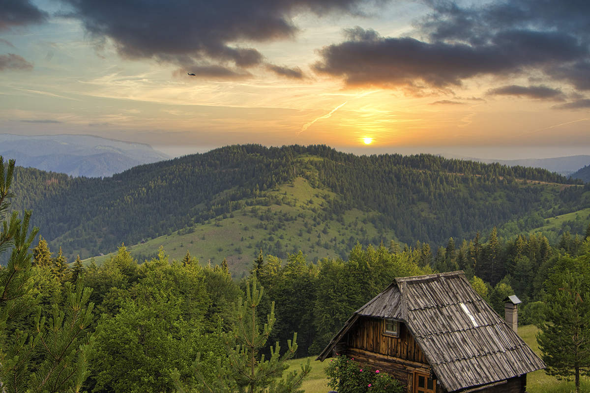 Утро в Таре